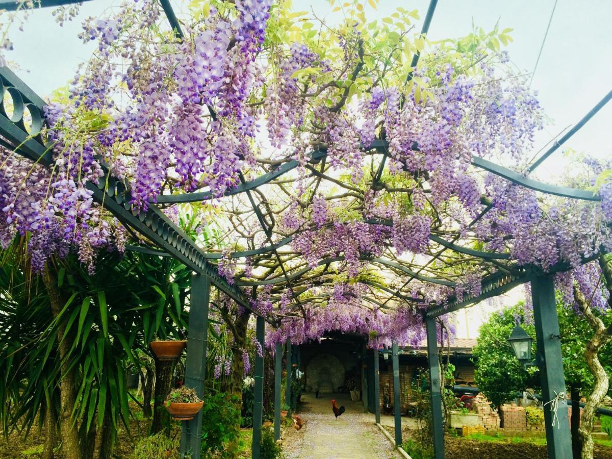B&B San Paolo Campagna Dış mekan fotoğraf
